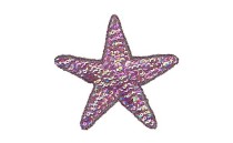 MOTIF WITH SEQUIN BEADS STAR