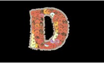 MOTIF WITH SEQUIN BEADS LETTER D