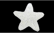 MOTIF WITH SEQUIN STAR