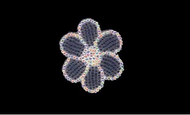 MOTIF WITH BEADS DAISY