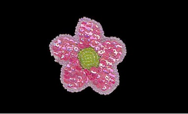 MOTIF WITH SEQUIN BEADS DAISY