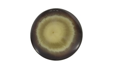 BUTTON POLYESTER WITH SHANK - FOOT