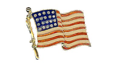 PIN FLAG USA