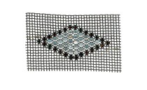 MOTIF NET WITH BLACK WHITE STRASS