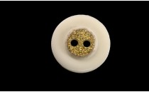 BUTTON POLYESTER WITH GOLD 2 HOLES