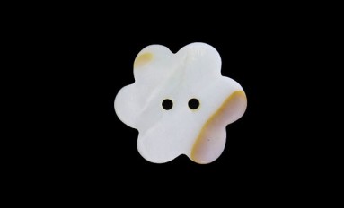 BUTTON SHELL  NATURAL WHITE TWO HOLES