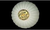 BUTTON WITH GOLD WITH SHANK - FOOT